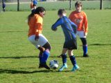 S.K.N.W.K. JO11-1JM - G.P.C. Vlissingen JO11-2JM (competitie - 4e fase) (56/66)